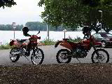 Am Rhein